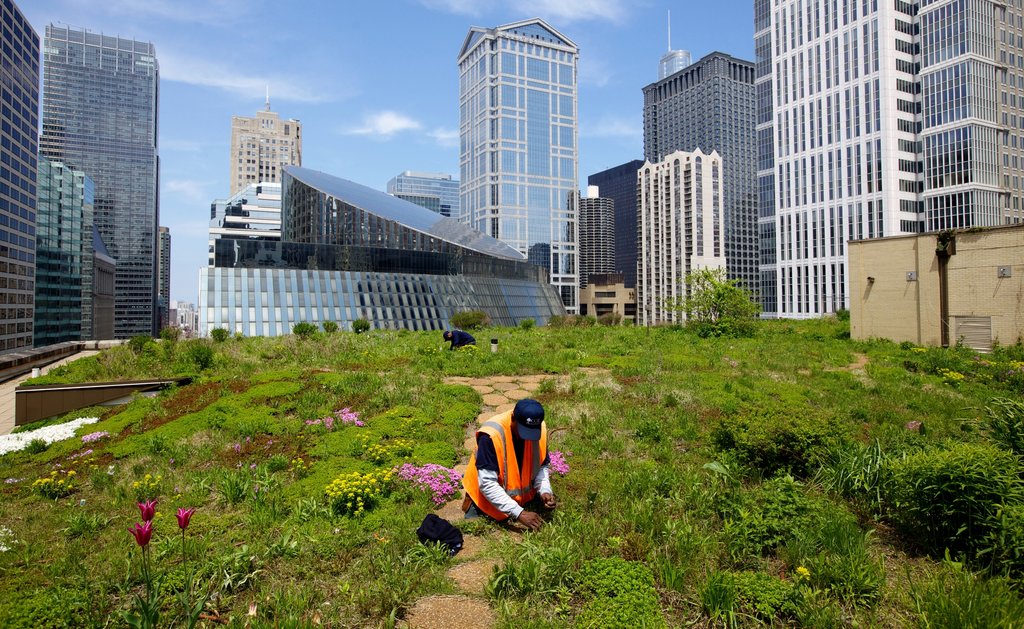 Green roofs are important stormwater infrastructure. 2NFORM stormwater compliance software helps manage assets like this