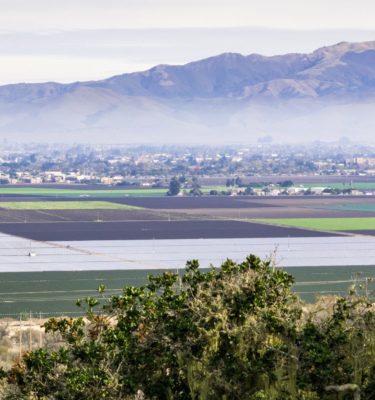Salinas' rich agricultural land