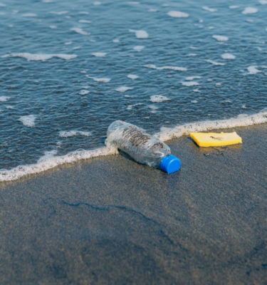 Trash in the ocean