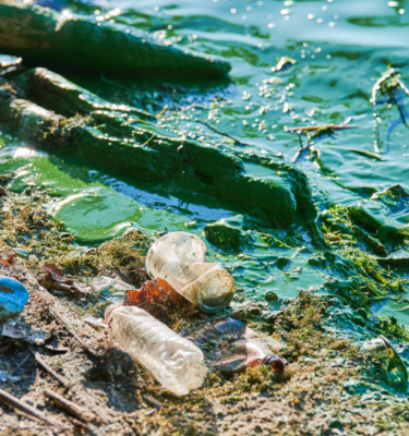 Trash in the waterr