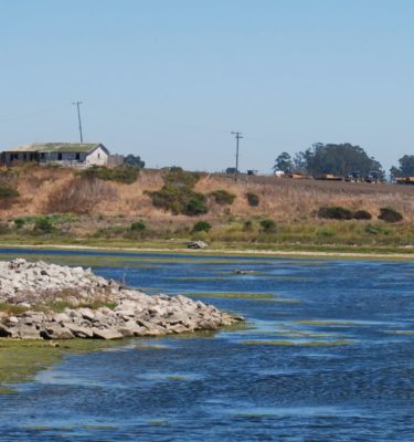 Watsonville Slough