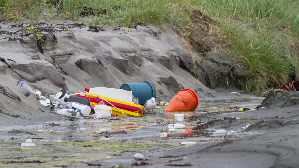 Trash washed up against a riverbank